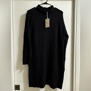 BNWT Everlane turtleneck dress